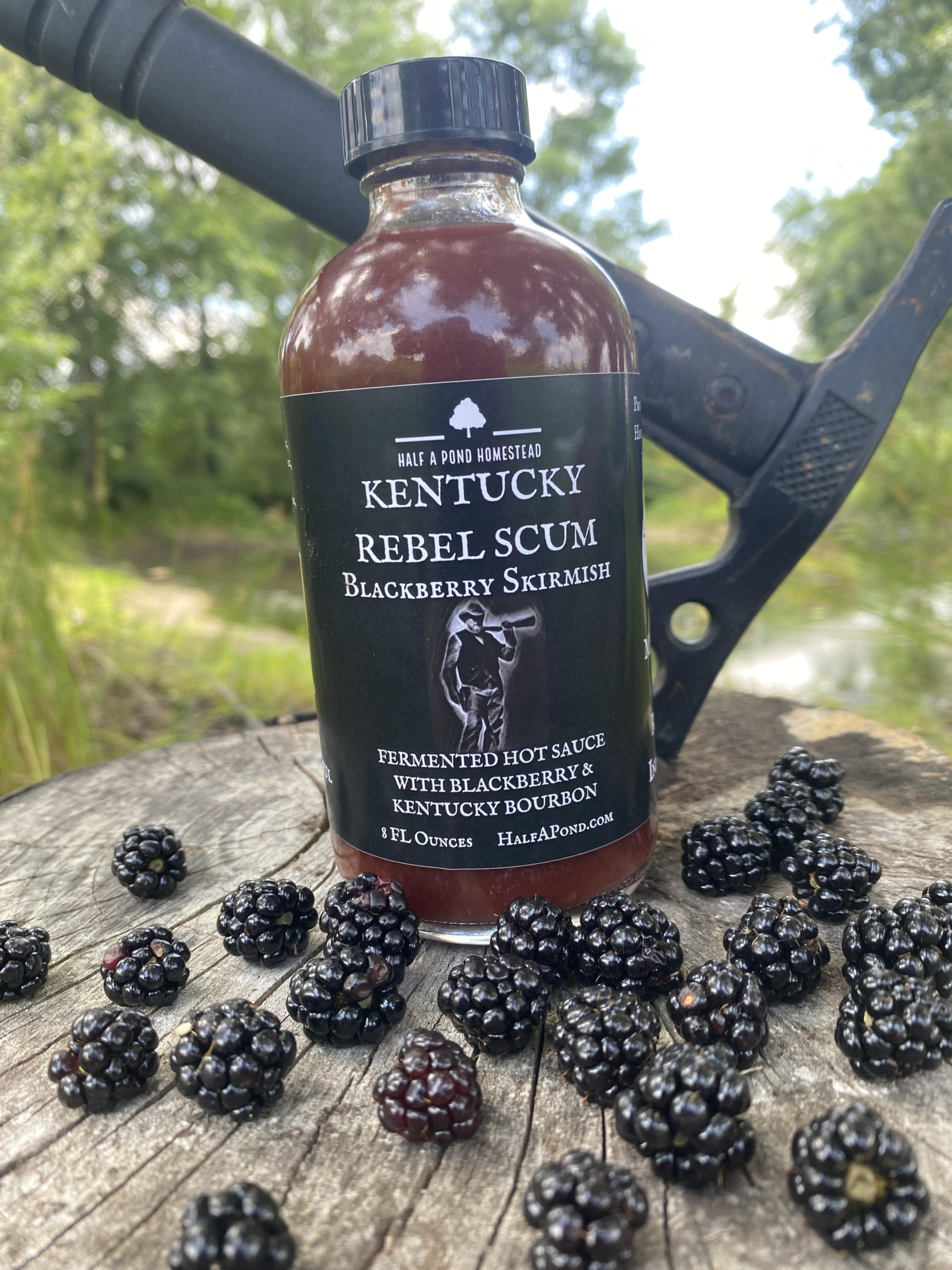 Kentucky Rebel Scum Blackberry Skirmish- Fall 2023 – Half A Pond Homestead